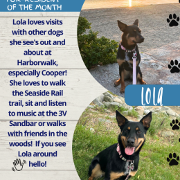 Pet of the Month