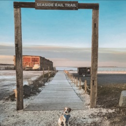 Entrance to Beach